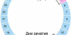 Калькулятор овуляции